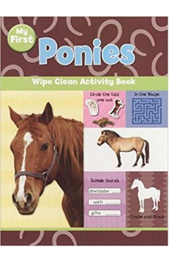 WIPE CLEAN ACTIVITY BOOK: PONIES